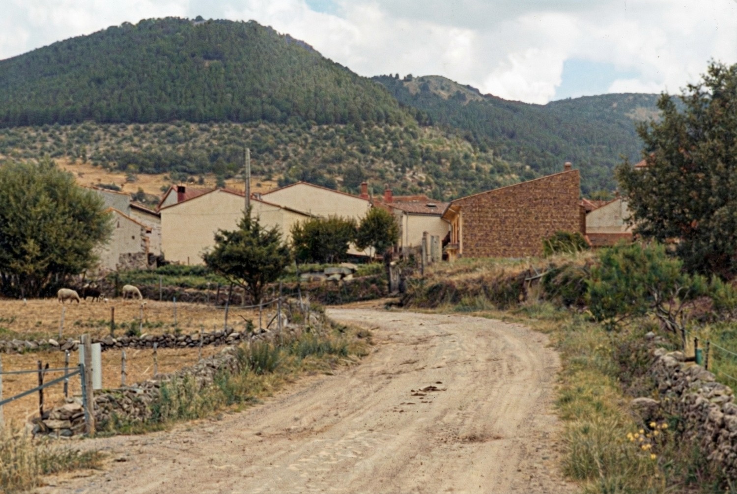 Un incendio destruye 30 casas de las 300 que componen el pueblo de Horcajo de las Torres, en Ávila