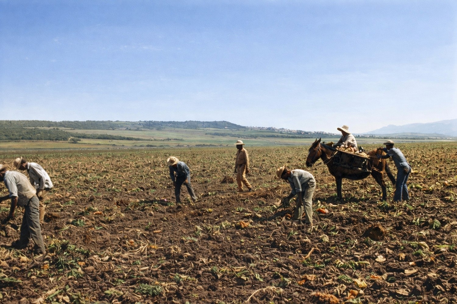 Más de 100.000 familias asentadas gracias a la Reforma Agraria