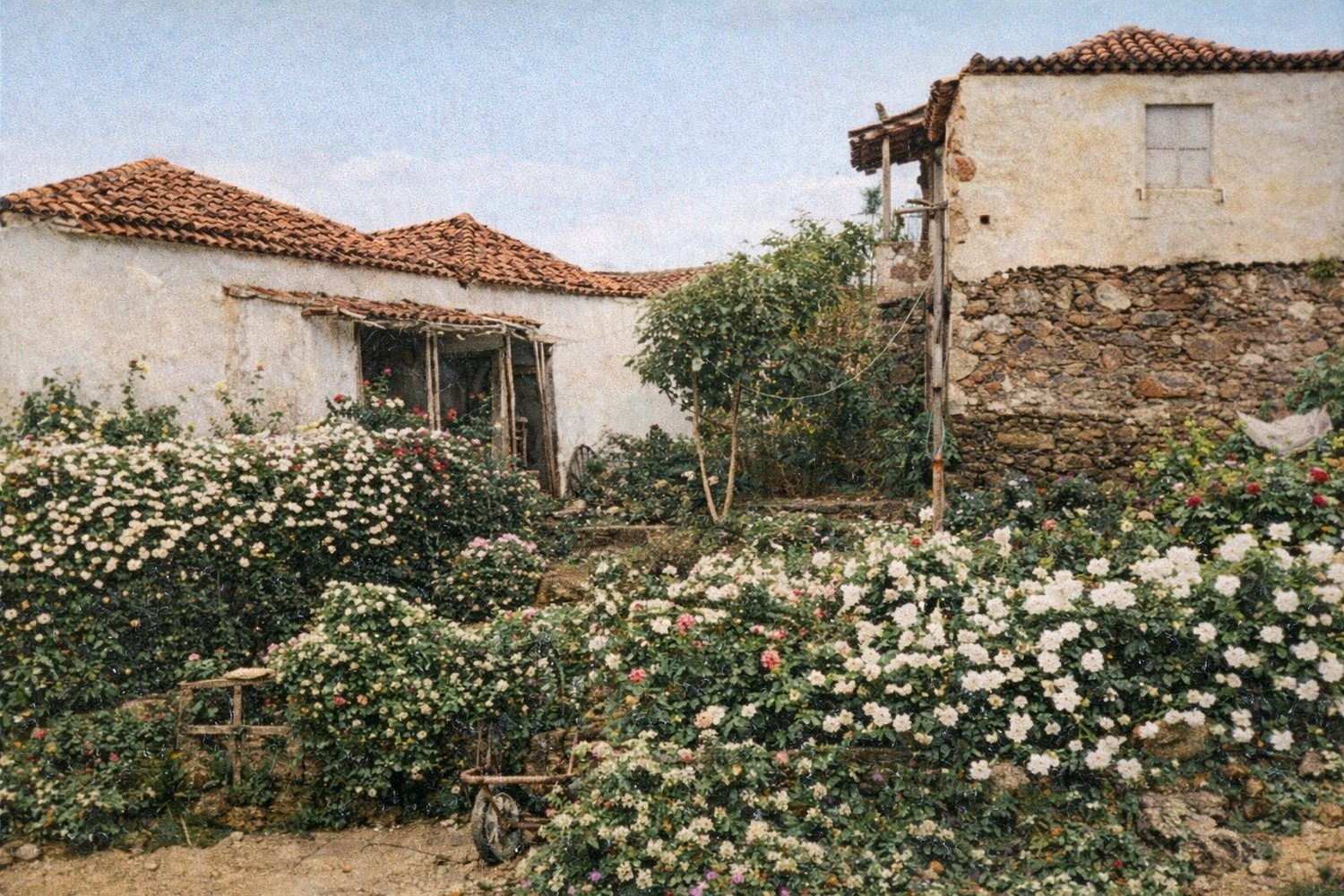 Premios a las casas más floridas de la carretera del norte de Tenerife