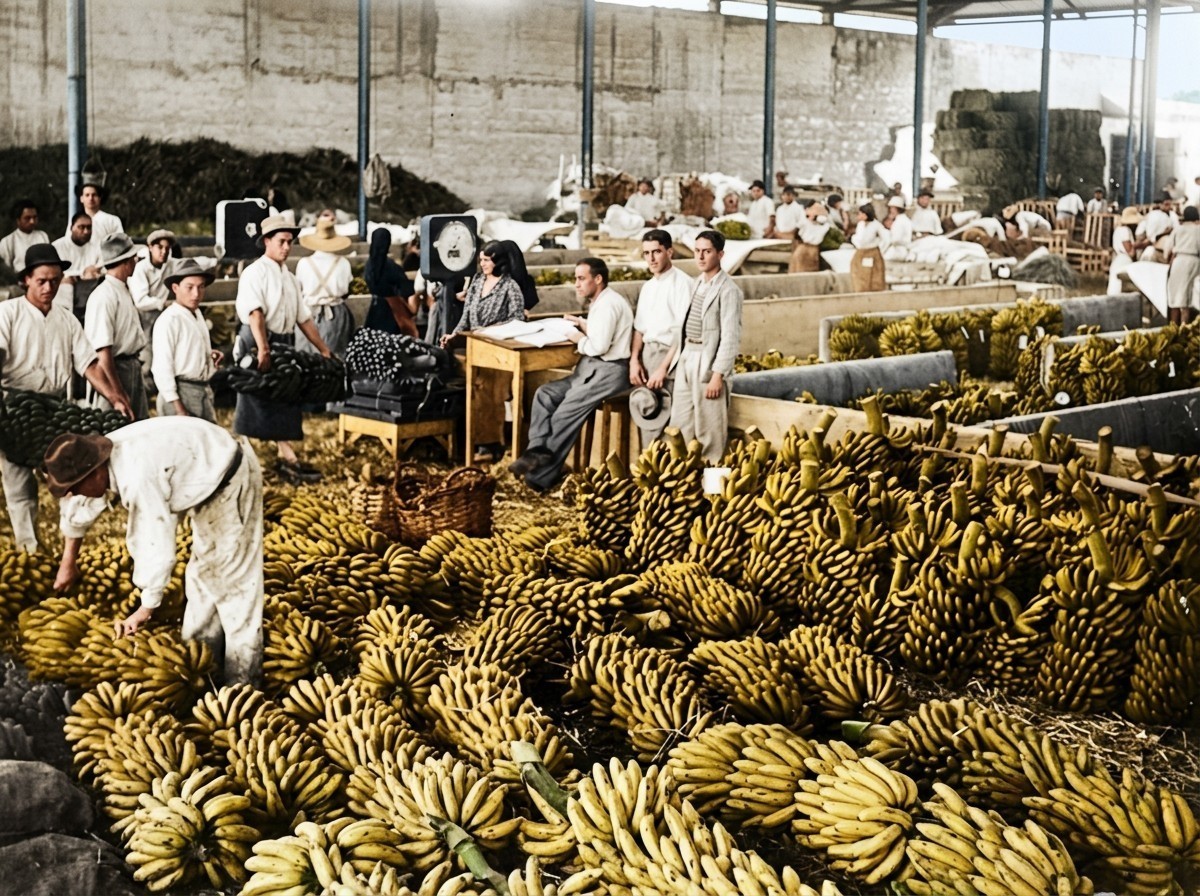 Nuevas dificultades en los trabajos agrícolas en el norte de Tenerife