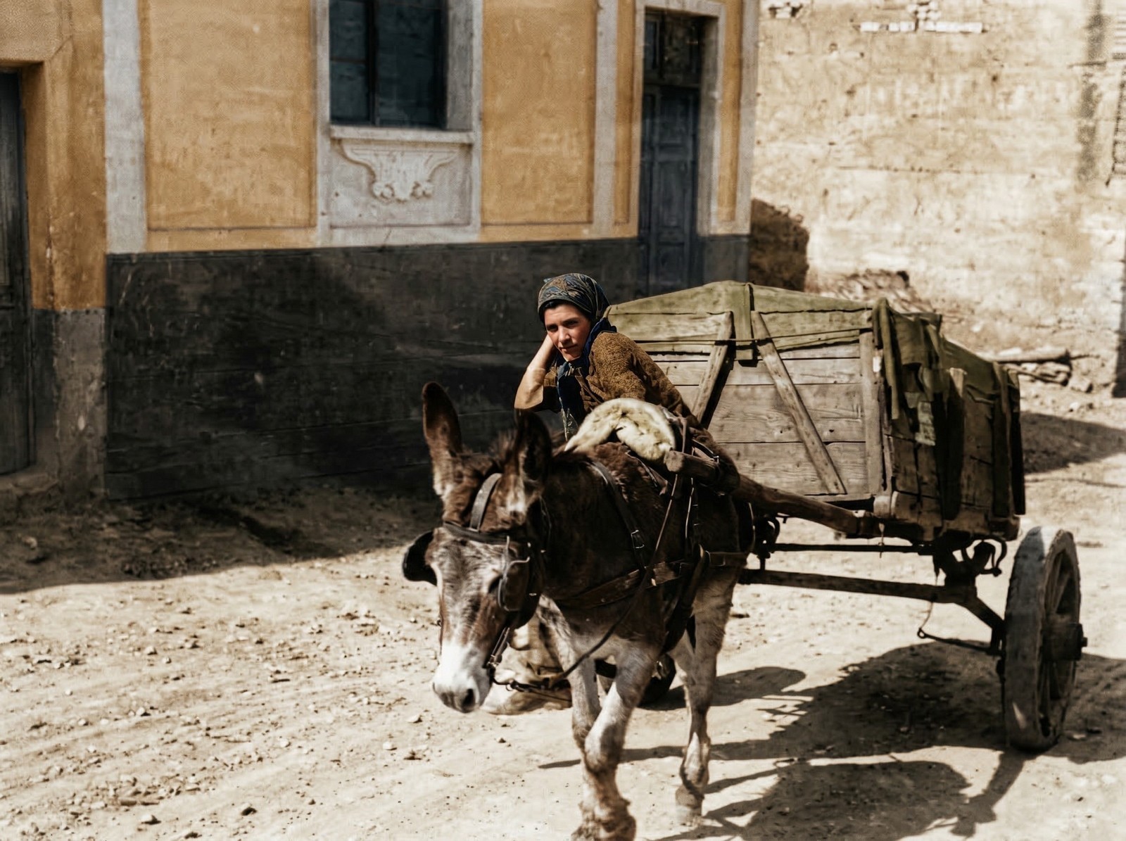 Mordido por un burro en Tenerife