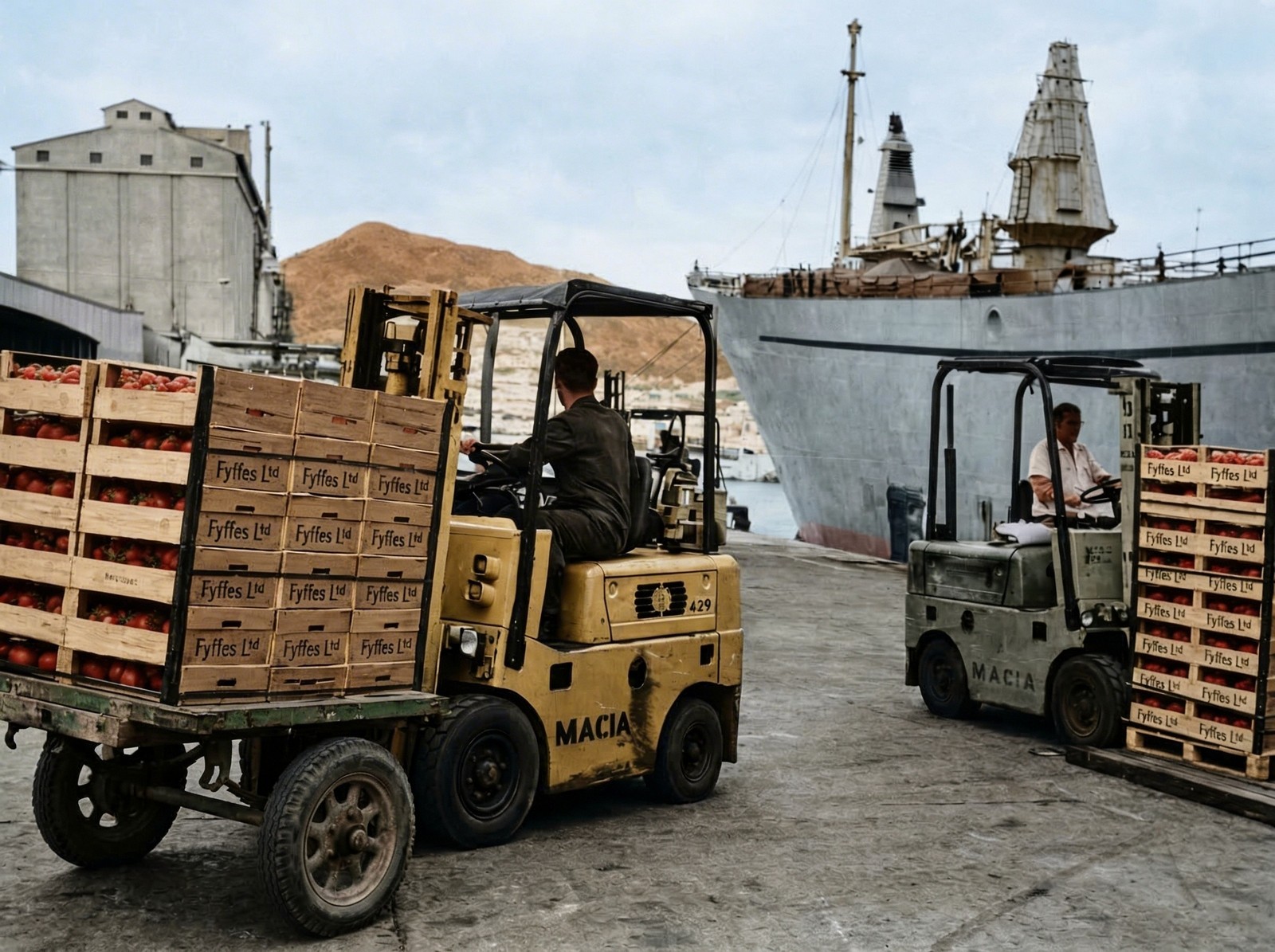 Importante decreto del Ministerio de Industria y Comercio sobre la exportación de tomates de Canarias